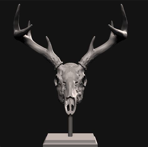 Stl File Deer Skull With Stand 🦌 Obj・3d Printer Design To Download・cults