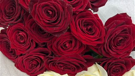 Мишка из тик-тока - YouTube