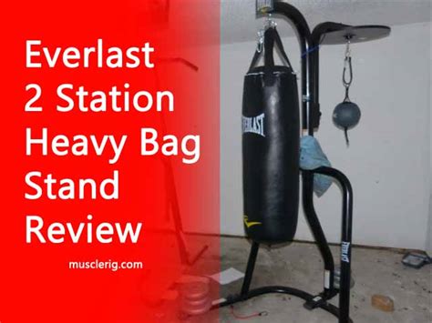 Everlast Heavy Boxing Bag Stand Review Iucn Water