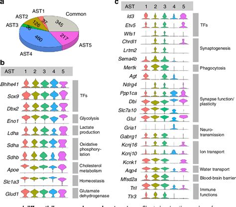 Figure From Edinburgh Research Explorer Identification Of Region