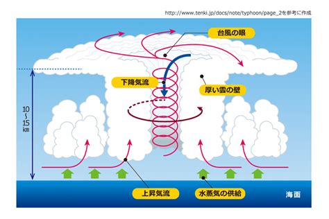 「京」の中で成長する台風 細かい格子で積乱雲をリアルに再現 計算科学の世界