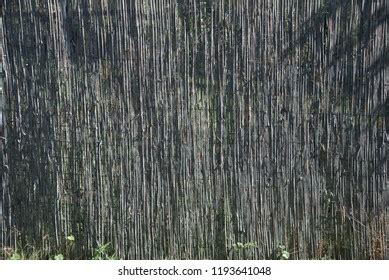 Bamboo Mat Texture Stock Photo 1193641048 | Shutterstock