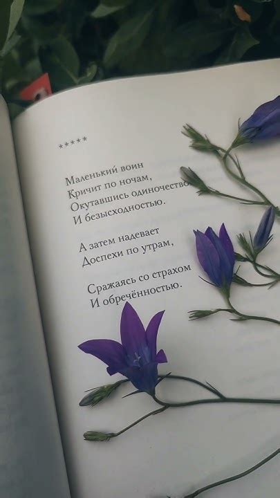 Книга на минном поле расцвели сады ‍🩹 - YouTube