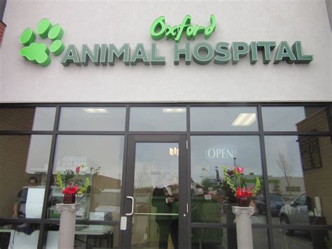 About Us Oxford Animal Hospital Veterinarian In Edmonton Ab