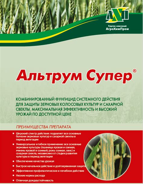 Системный фунгицид что это: Фунгициды | Syngenta - ТеплоЭнергоРемонт