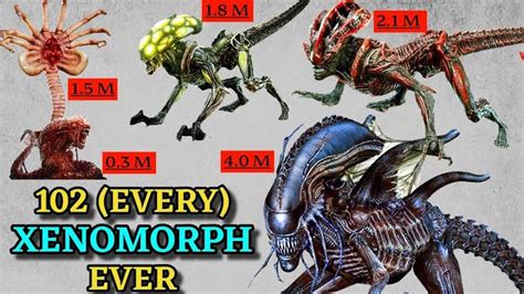 If The Xenomorph Ever Appeared In Dbhow Would You Even Scale Him