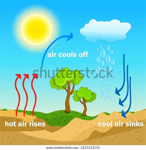 Convection Process Diagram Warm Air Rises Stock Vector (Royalty Free ...