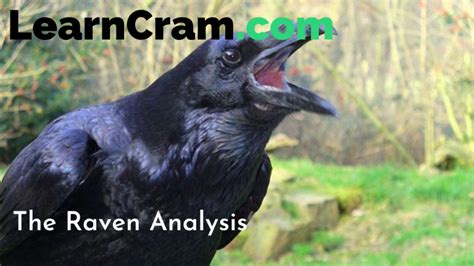 The Raven Analysis by Edgar Allan Poe | Themes and Stanzas of The Raven ...