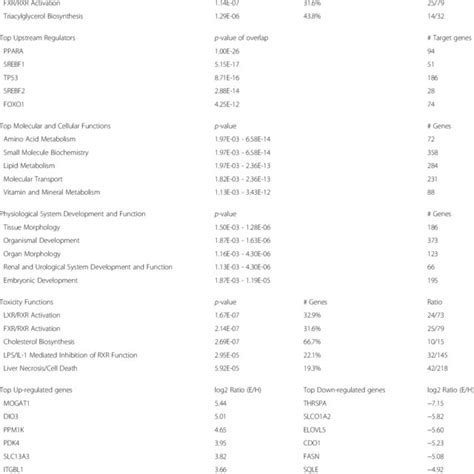 Ingenuity Pathway Analysis Ipa Of The Liver Transcriptome In The E