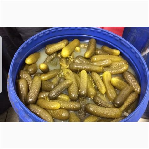 Продам соленые огурцы, купить соленые огурцы — Agro-Ukraine