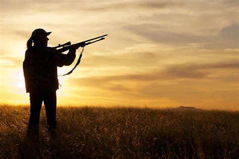 A Beginner’s Guide to Hunting