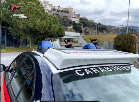 Carabinieri Sgominano Rete Di Spaccio Sequestrati Quasi 320 Grammi Di