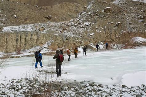 Snow Leopard Quest, Ladakh - Tripoto