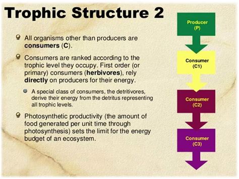 Trophic Structure Of Ecosystems PPT