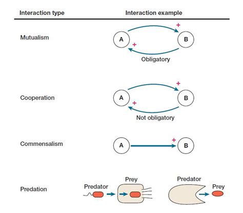 Microbial Interactions In The Environment Microbiology Notes