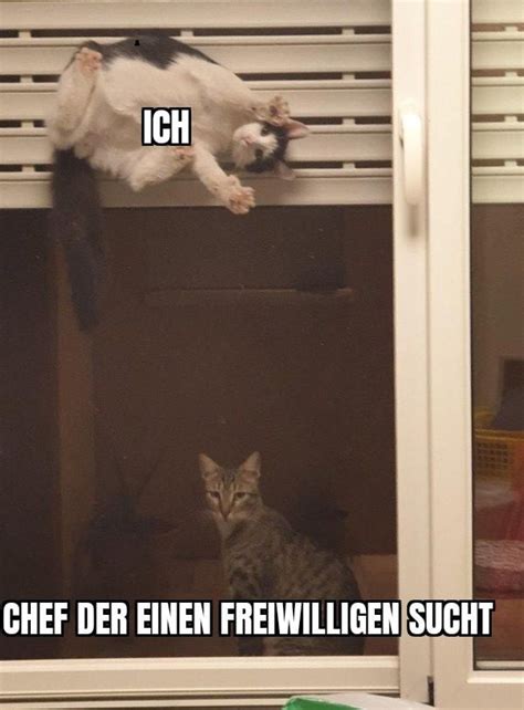 Eckstein Eckstein Alles Muss Versteckt Sein 9GAG