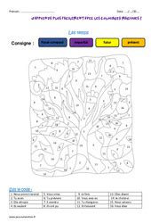 Coloriage magique Conjugaison Étude de la langue CE2 pdf à imprimer