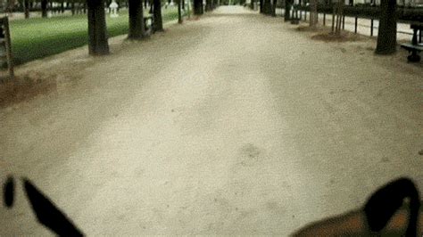 Fuck You Gifs Page WiffleGif