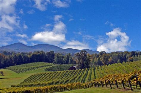 Three Sisters Vineyards & Winery - Dahlonega, GA