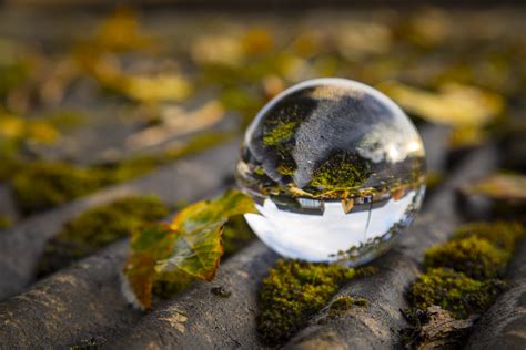 Crystal Ball Free Stock Photo - Public Domain Pictures