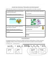 Copy of Amoeba Sisters recap cellular respiration and photosynthesis ...