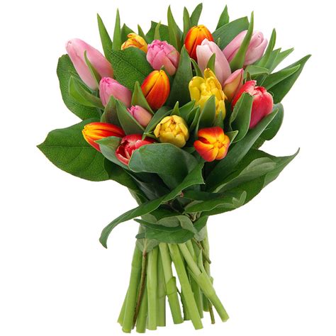 Bouquet Rond 15 TULIPES Livraison Express Florajet