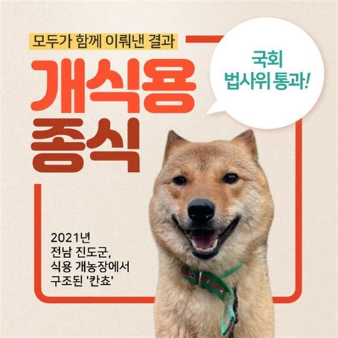 더 이상 식용개는 없다 개 식용 금지법 법사위 통과