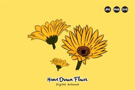 Yellow Daisy Flower Hand Drawing Graphic by taher.yeti · Creative Fabrica