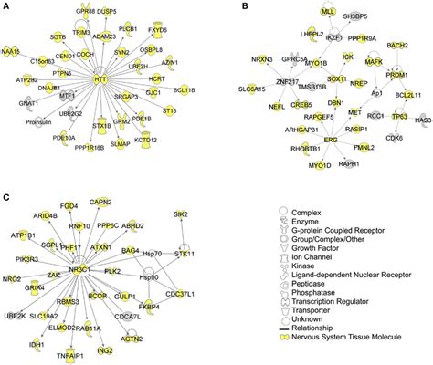 Top 3 Scoring Ipa Network Analysis Generated Networks For All Mapped Download Scientific