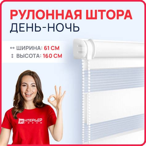 Рулонные шторы Интерьер Групп зебра_ , размер 61х160 см, белый ...