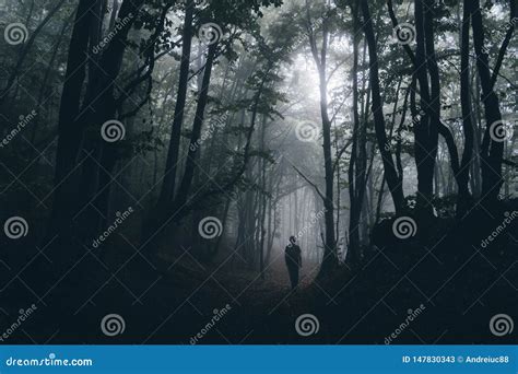 Silhouette Of Man In Dark Haunted Woods On Foggy Halloween Night Stock