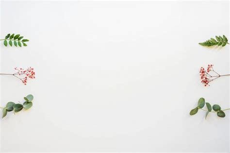 Ботанический фон с полевыми цветами по бокам | Бесплатно Фото in 2024