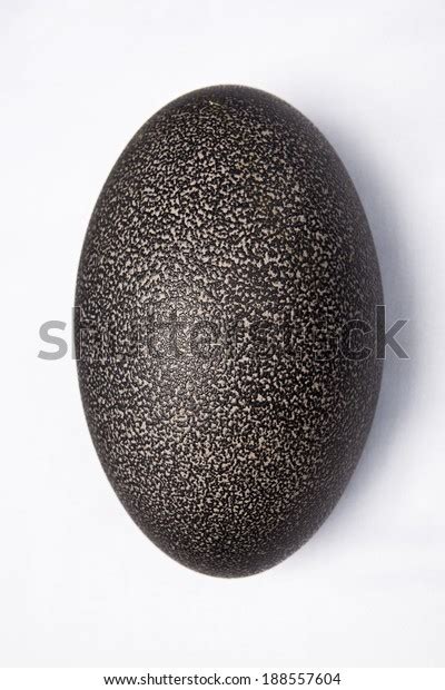 Emu Eggs Isolated: Over 104 Royalty-Free Licensable Stock Photos | Shutterstock