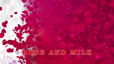 B Ch Ng C Li N Rose And Milk Zalo Youtube