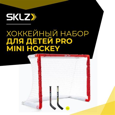Ворота хоккейные SKLZ Pro Mini Hockey Fes пара - 2 штуки, 2 клюшки, 1 ...