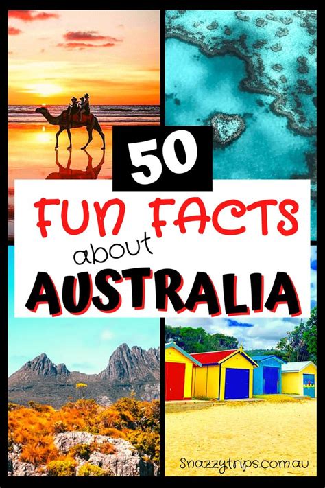 Fun And Fascinating Facts About Australia That You Probably Didnt Know