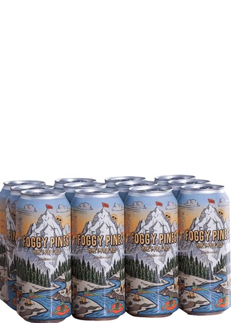 Evans Foggy Pines Hazy Pale Ale Total Wine More