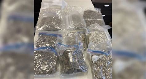 Drug Investigation Leads To Charges In La Ronge Country 600 Cjww