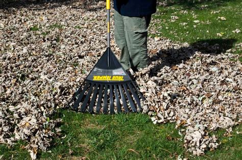 10 Best Leaf Rakes Reviewed (Spring 2023)