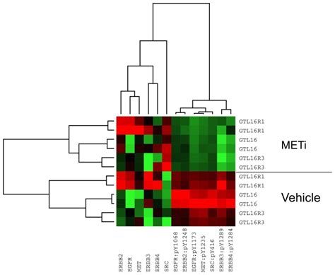 Heatmap Of Reverse Phase Protein Array Rppa Showing Gtl And