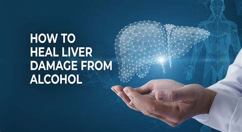 How to Heal Liver Damage from Alcohol Naturally