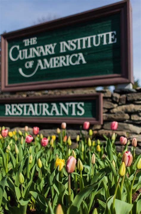 Chicago Culinary Schools – Best Tourist Attractions