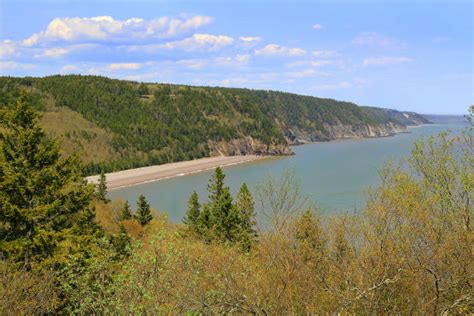 220 Fundy Trail Stock Photos Pictures And Royalty Free Images Istock