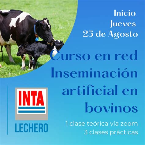 INTA organiza Curso de Inseminación Artificial de bovinos La Radio