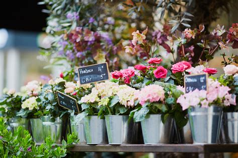 March Aux Fleurs De Versailles Les Infos Utiles