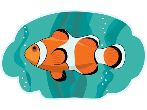 Clownfish Clipart Transparent Pictures Clipartlib