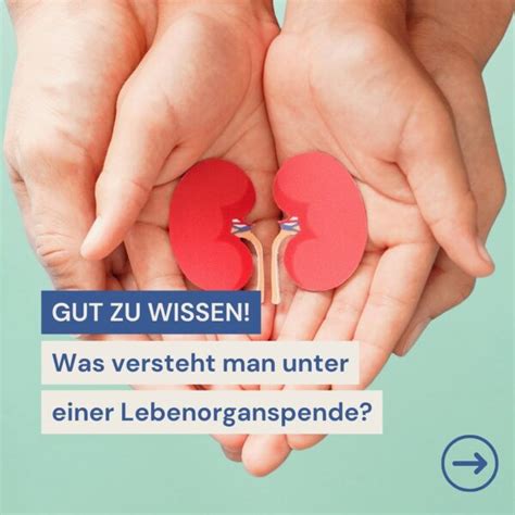 Was Versteht Man Eigentlich Unter Einer Lebenorganspende In Einzelnen