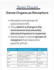 Understanding Sense Organs: Receptors and Functions | Improve | Course Hero