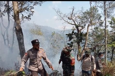 Kebakaran Hutan Di Gunung Argopuro Capai 10 Hektare Pemadaman