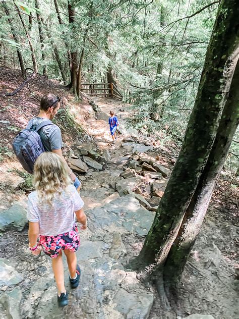 Hiking Fall Creek Falls with Kids | Maverick Family Life